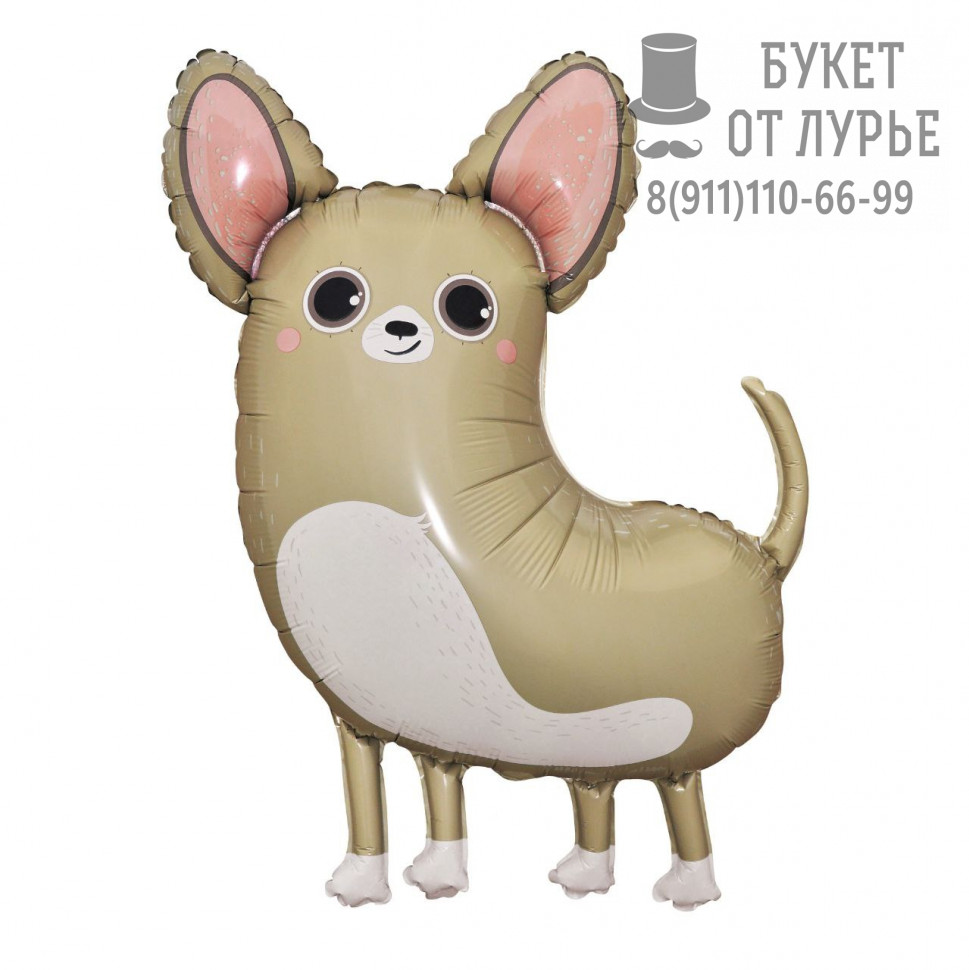 Фольгированный шар №122 "Чихуахуа"