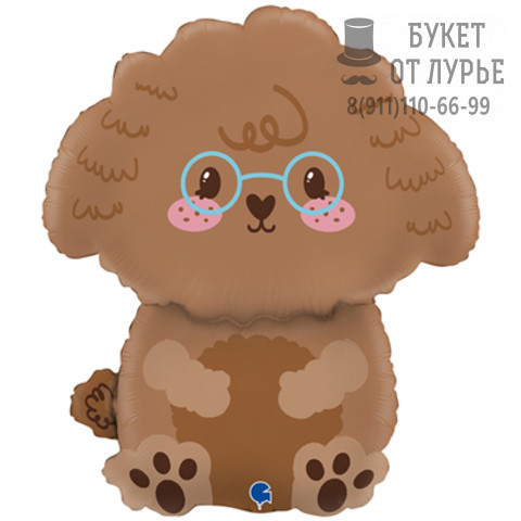 Фольгированный шар №374 "Пудель в очках"
