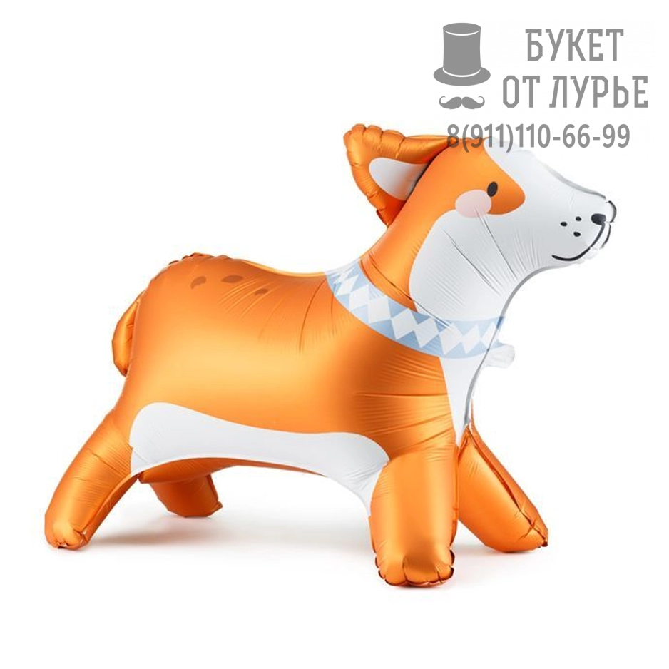 Фольгированный шар №310 "Корги" (56 см)