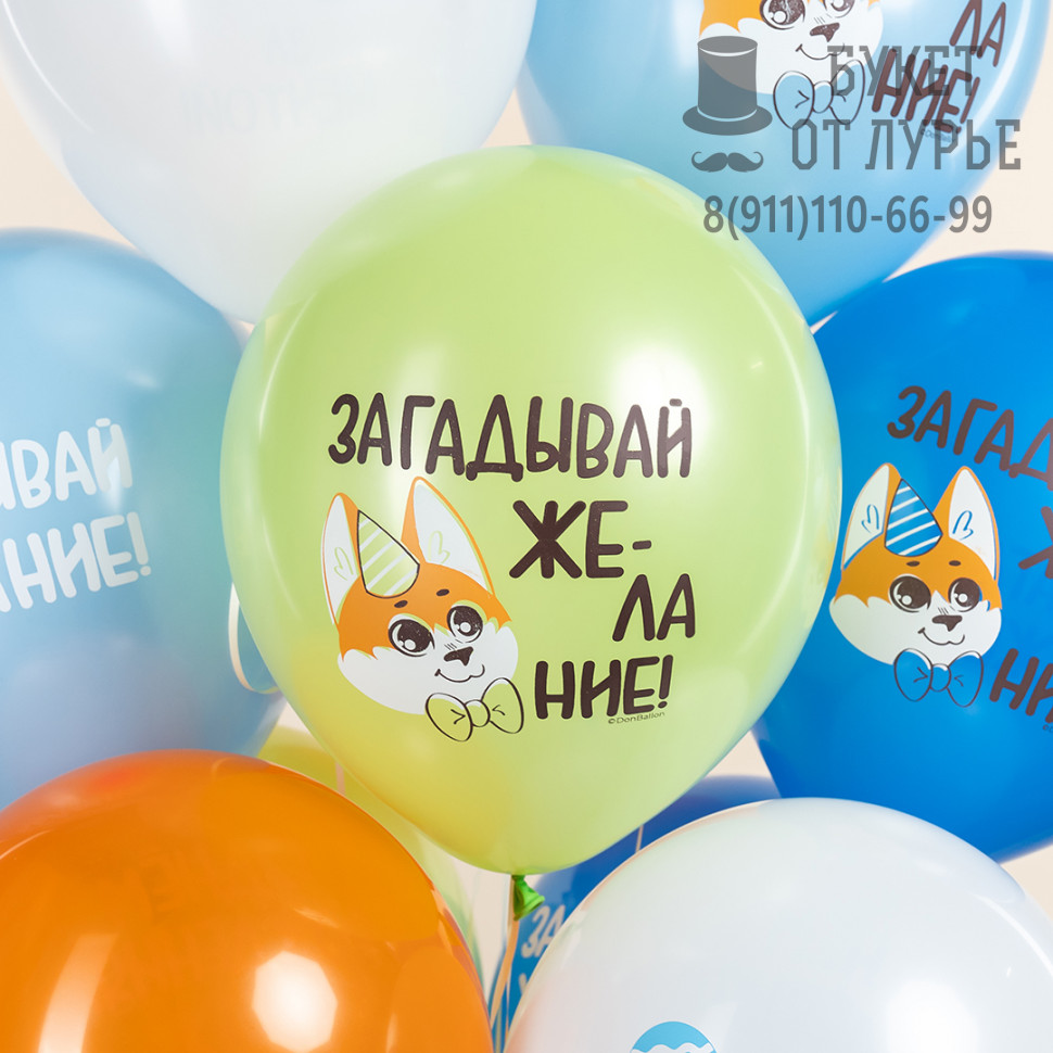 Шары на день рождения с  корги "Загадывай желание"