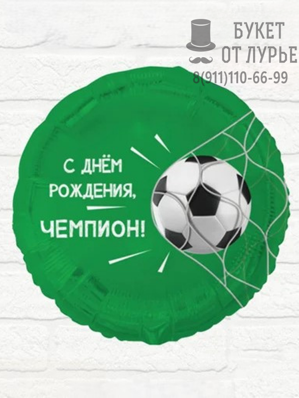 Фольгированный шар № 487 "С днём рождения, Чемпион!"