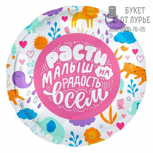 Фольгированный шар №79 "Расти, малыш"