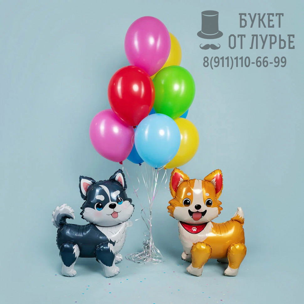 Украшение из шаров "Милые корги и хаски"