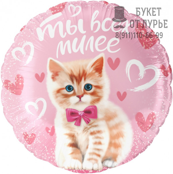 Фольгированный Шар №629 "Ты всех милее" (46 см)