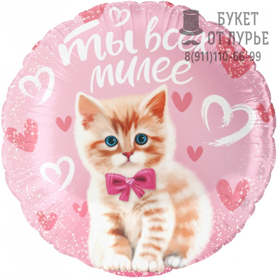Фольгированный Шар №629 "Ты всех милее" (46 см)